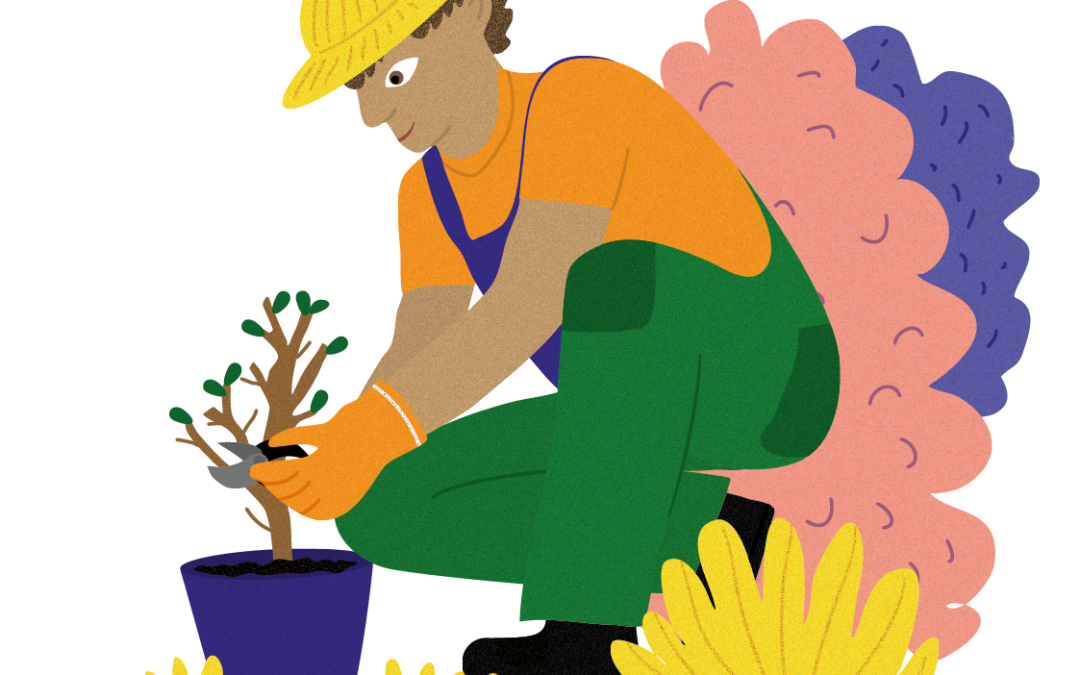 Entretien de votre jardin au fil des saisons