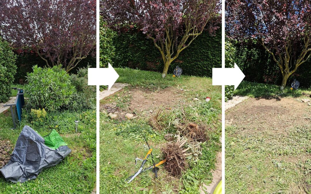 Service d&rsquo;aide à domicile : déraciner des petits arbustes pour un jardin parfait !