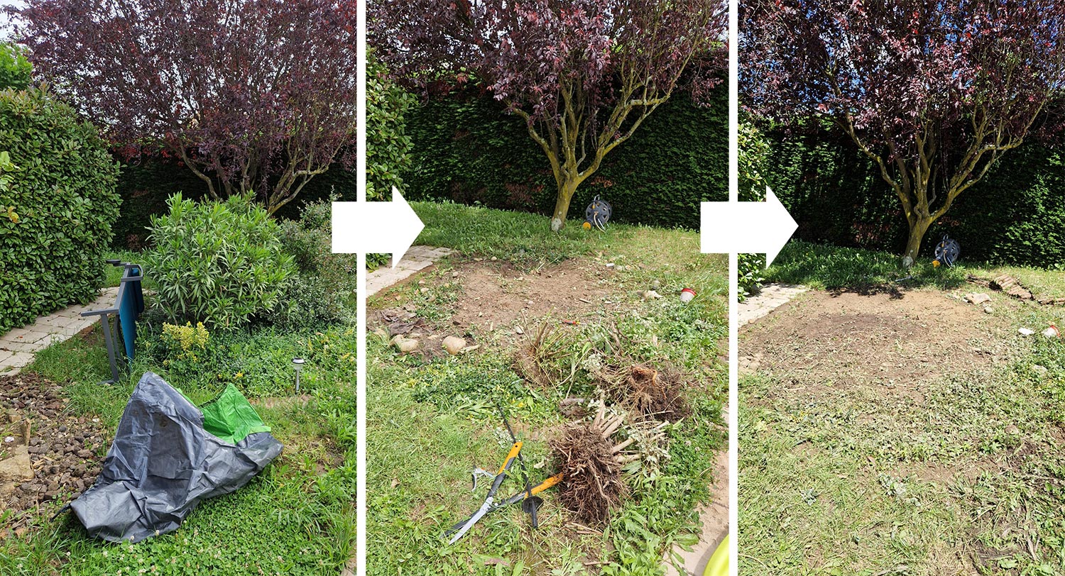 Service d'aide à domicile : déraciner petits arbustes pour un jardin parfait