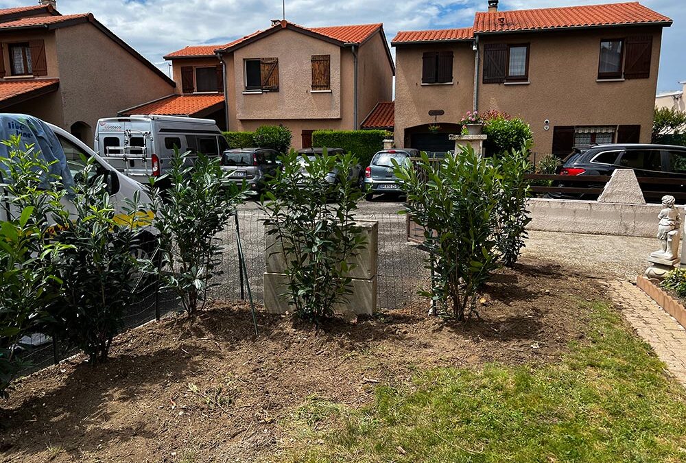 Tronçonnage, dessouchage, replantation de haie, taille…: nos prestations à Lyon et sa région