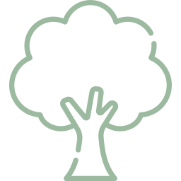 arbre