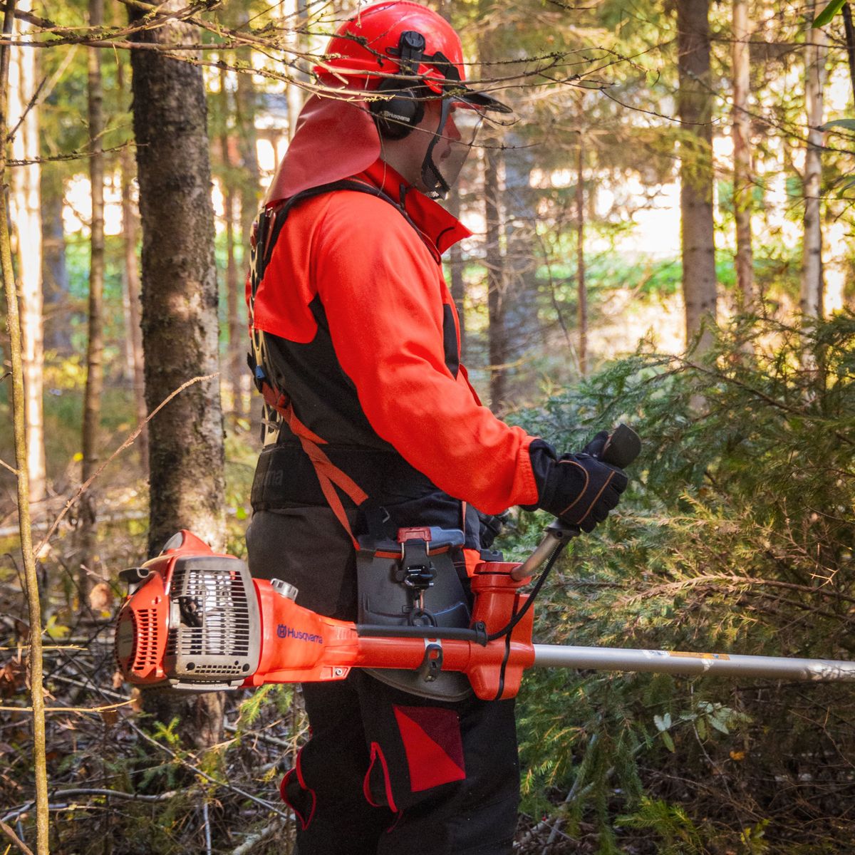 Débroussaillage d'un terrain envahi