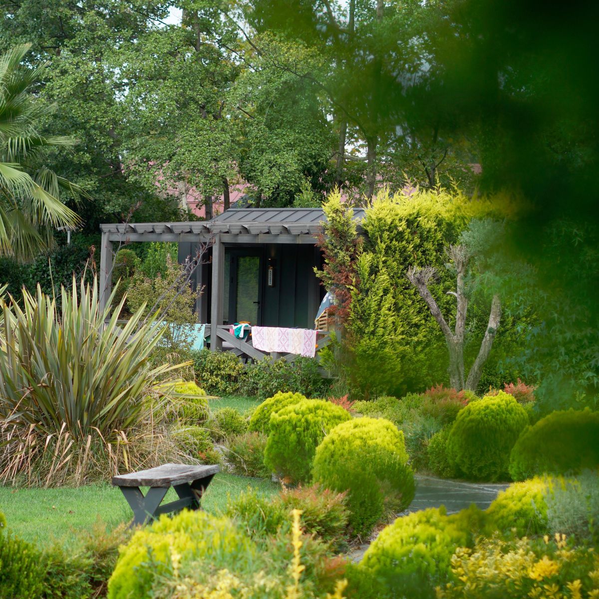 Massifs entretenus dans un jardin