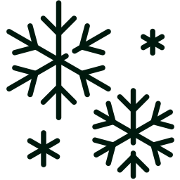flocon-de-neige (1)
