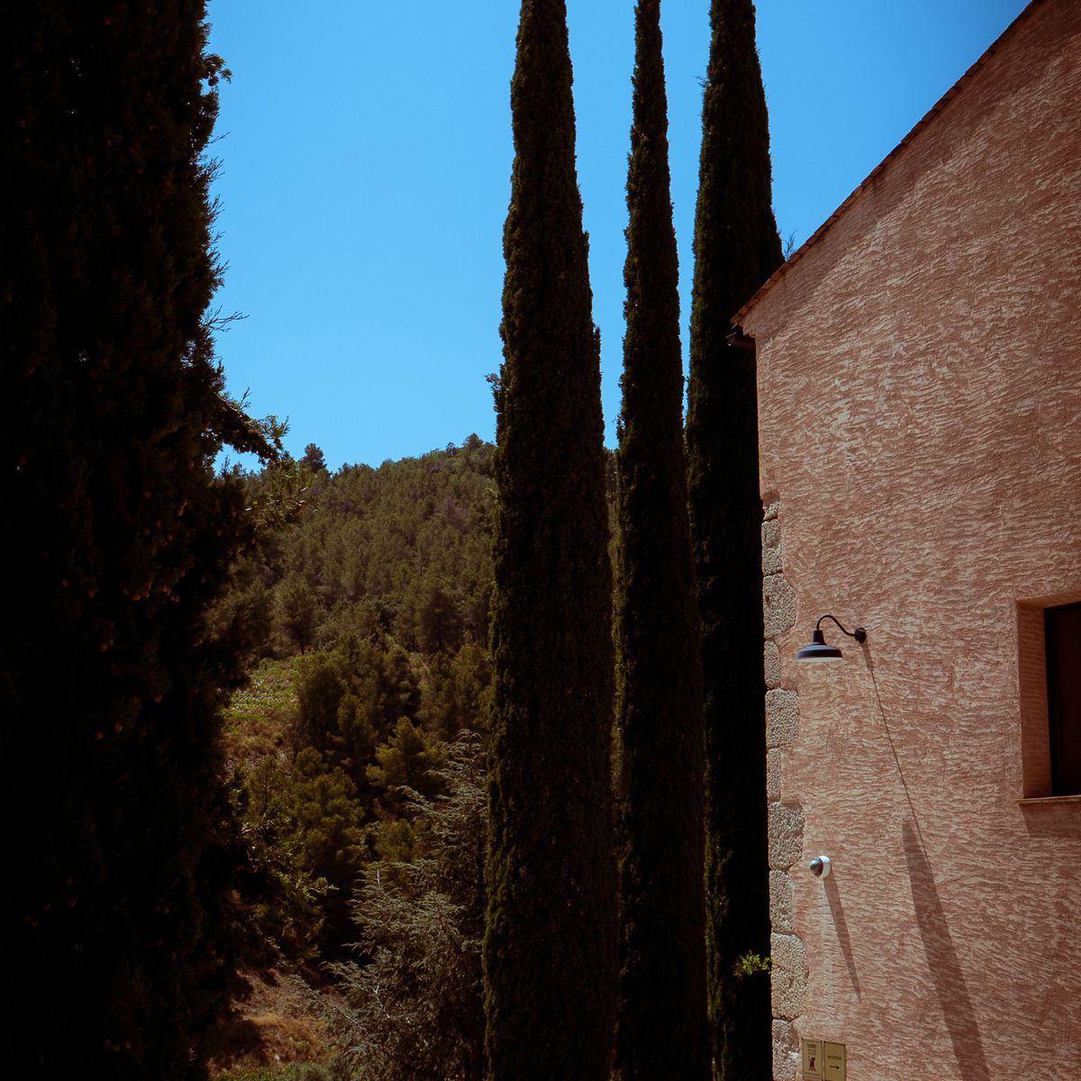 Mur et cyprès protégeant un jardin du vis-à-vis