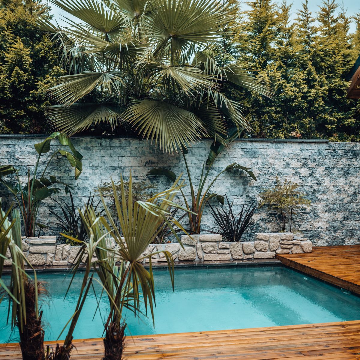 Piscine protégée par un mur et des végétaux